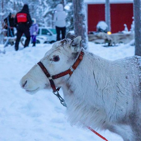 Skyfire Village Igloos Рованиеми Экстерьер фото