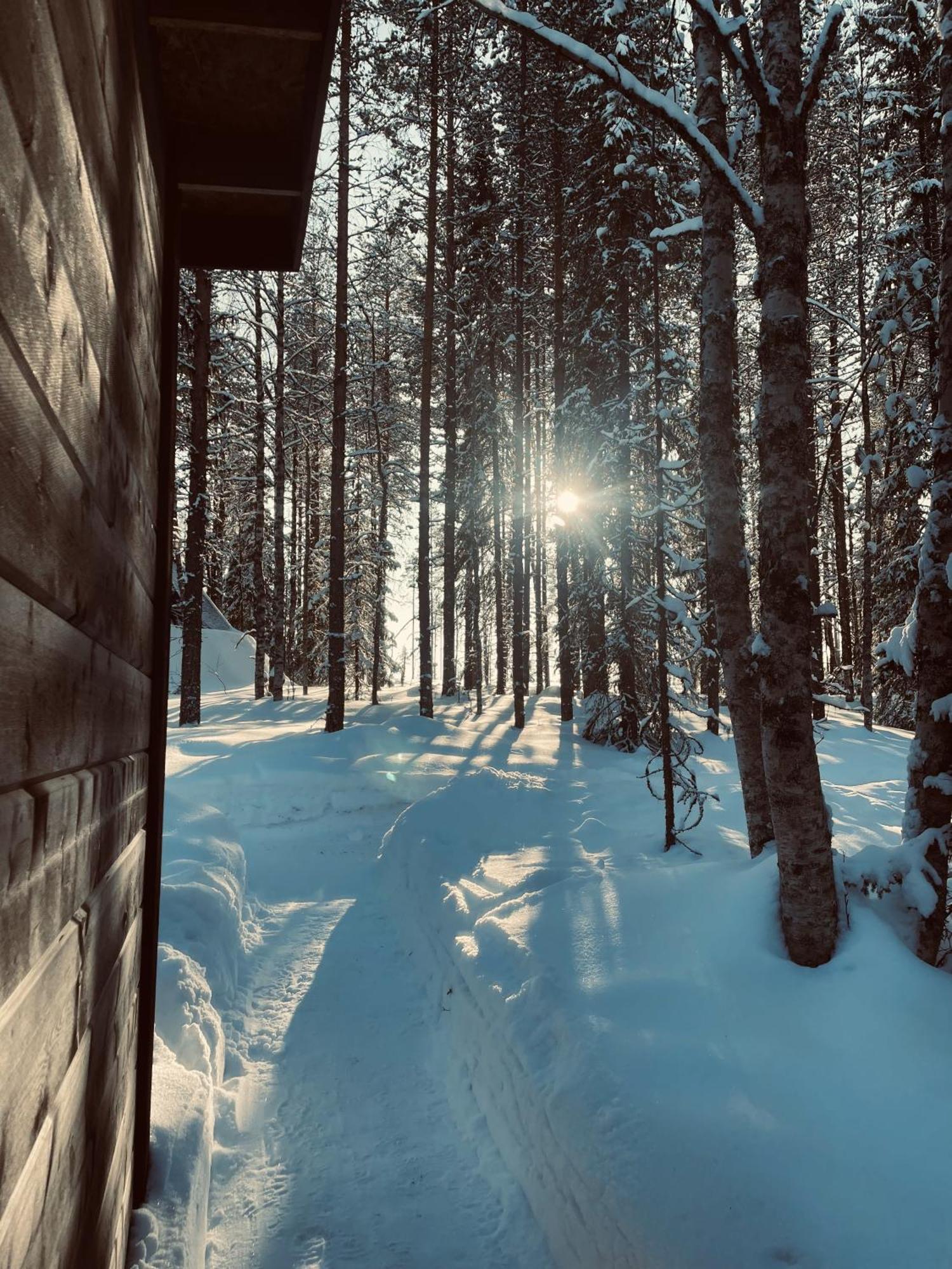 Skyfire Village Igloos Рованиеми Экстерьер фото