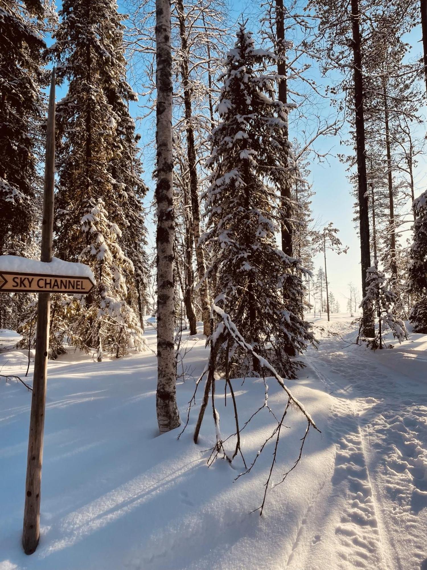 Skyfire Village Igloos Рованиеми Экстерьер фото