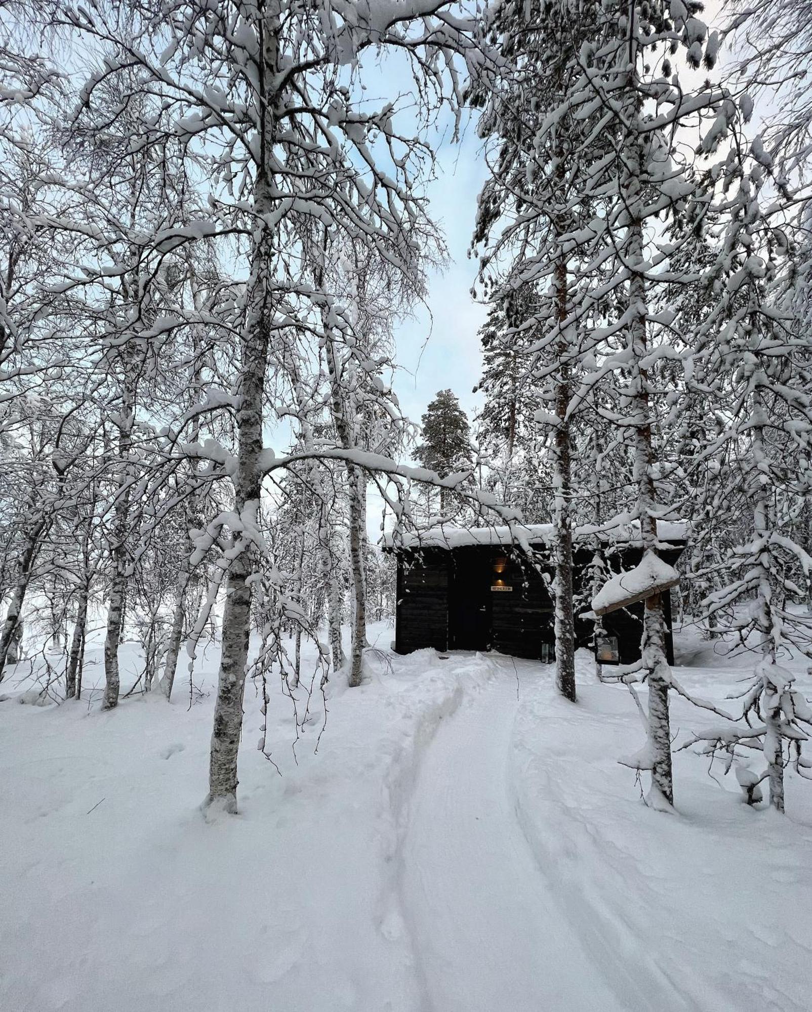 Skyfire Village Igloos Рованиеми Экстерьер фото